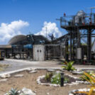 At The Farm: How Sugar Cane Becomes Gin